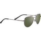 PETE, Shiny Gunmetal-Mineral Polarized 555nm Cat 3 to 3, hi-res image number null